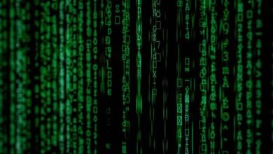 phone numbers identification request
