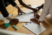 statistical data entry collection