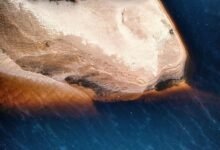 alefudoli s functionalities and characteristics