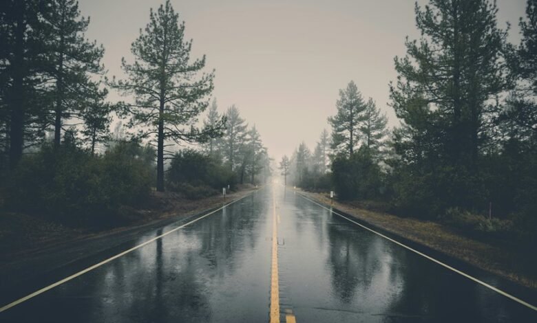 bhagyalaxmi result comprehensive guide