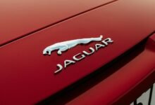 cofemel product features overview