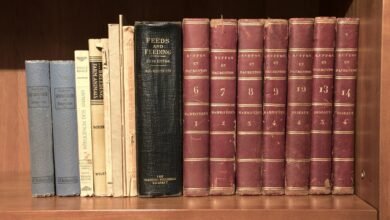 code series consolidation archive