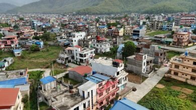 identifier presence analysis summary