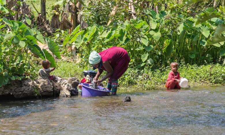 interaction and activity overview