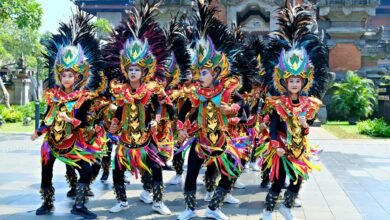 performance appraisal matrix overview