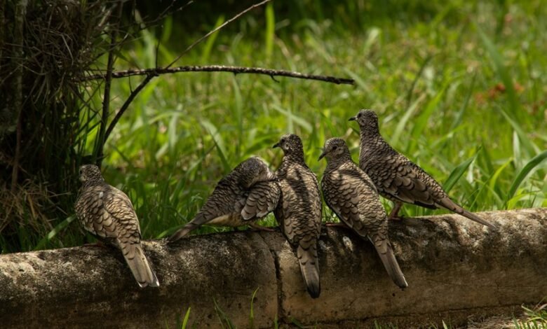 quantitative sequencing log details