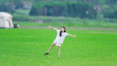 user activity trends summary