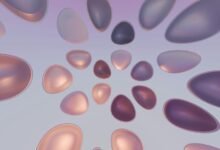 digital boost agile vision