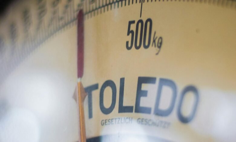 industry growth and scaling