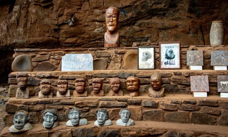 tactical scaling for evolution